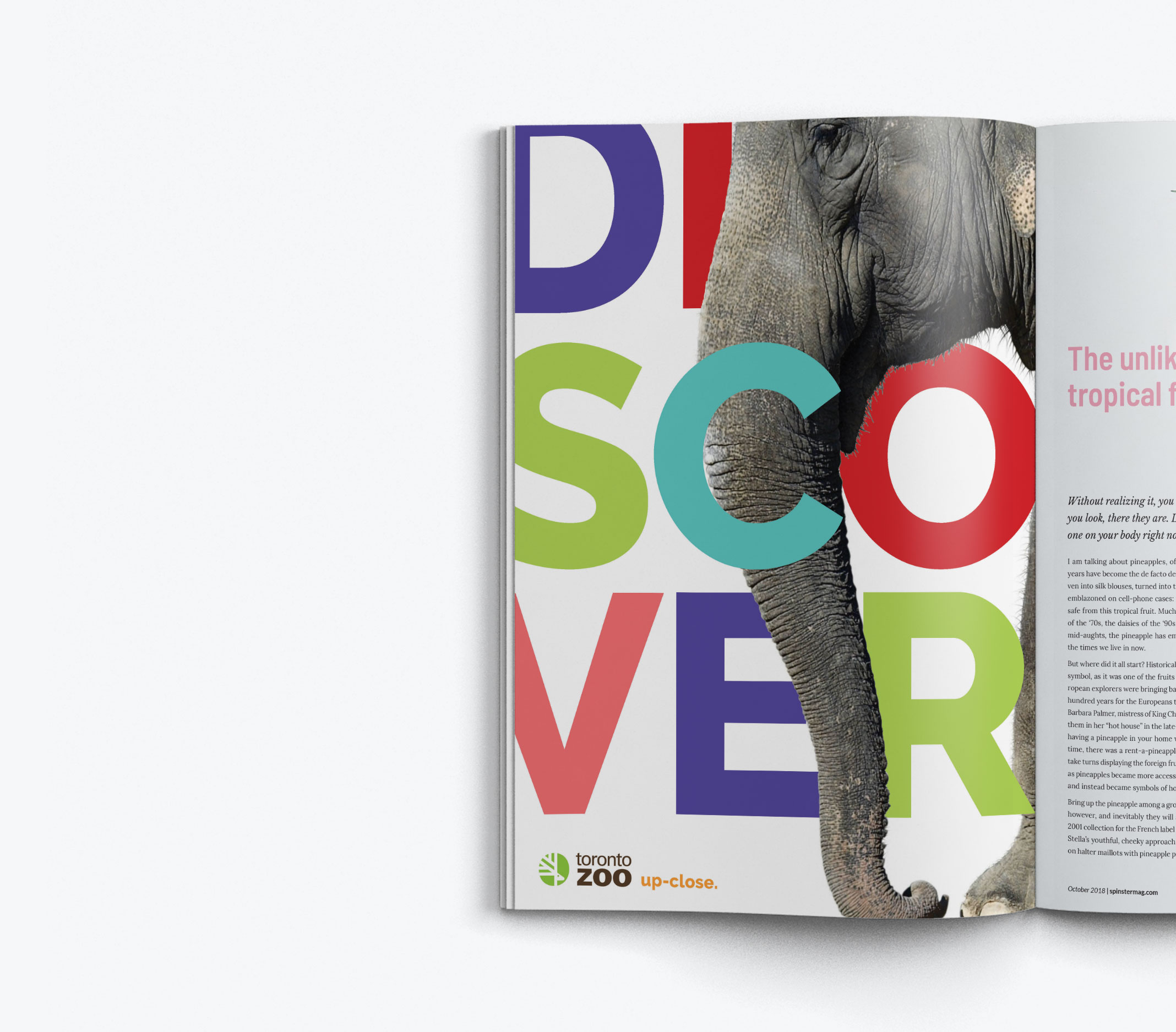 magazine_ad_mockup-v02-smallermag